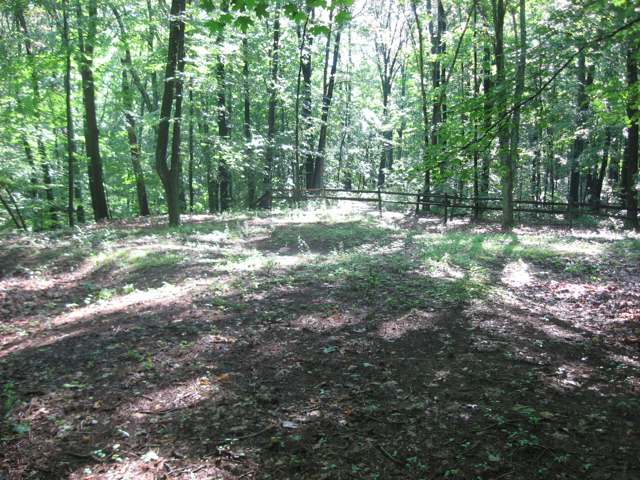The Tarlton Cross Mound in Clear Creek Township, a prehistoric earthwork of undetermined origin, seen from the west.