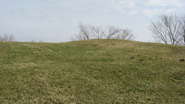 The Alligator Effigy Mound, viewed from the west