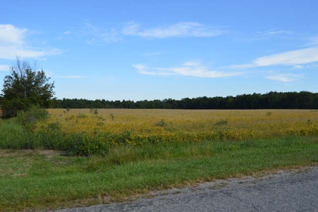 Farm fields along Veley Road in northwestern Brown Township