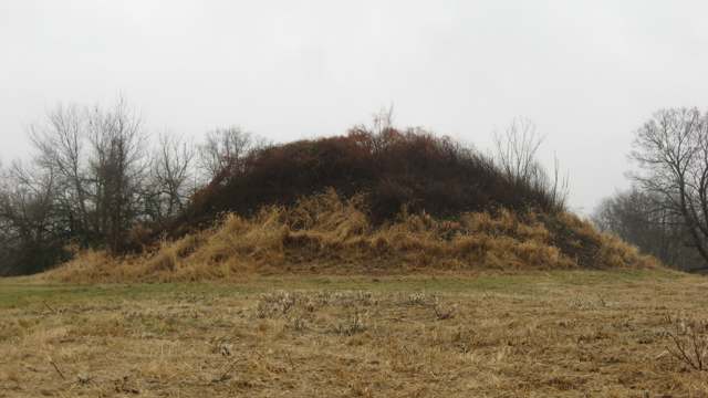 The Dixon Mound, an Adena-culture mound off South Street in Homer, listed on the National Register of Historic Places