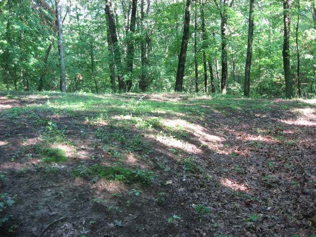 The Cross Mound (Tarlton Cross Mound), a cross-shaped prehistoric earthwork in Cross Mound Park near Tarlton, close to Clearcreek Township's southern edge
