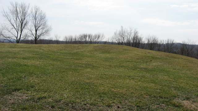 The Alligator Mound, viewed from the north
