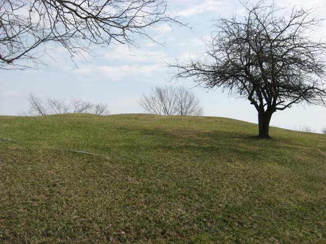The Alligator Mound, inside a traffic circle formed by Bryn Du Drive