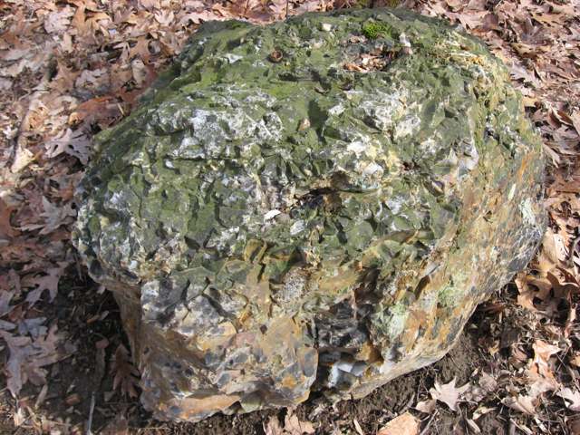 A flint outcrop at Flint Ridge State Memorial, north of Brownsville in Hopewell Township; photographed 2011