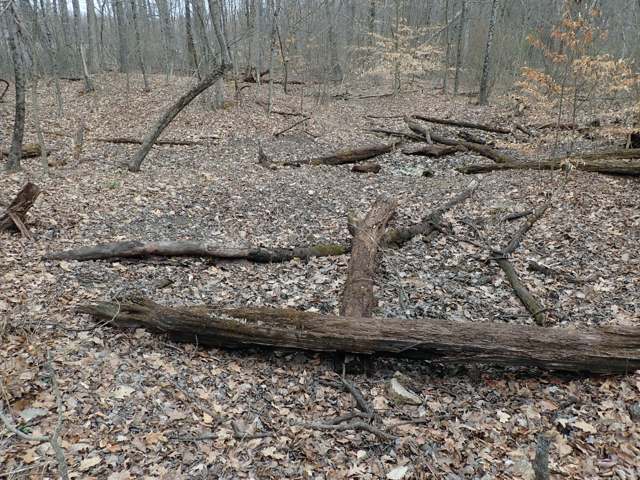 A prehistoric flint quarry pit exposing banded Vanport flint at Flint Ridge; photographed 2025