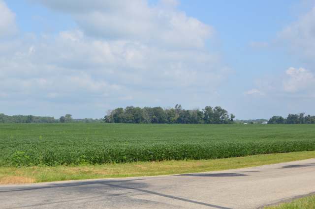 Soybean fields looking northwest from the junction of Bader and Basil Western Roads, Liberty Township