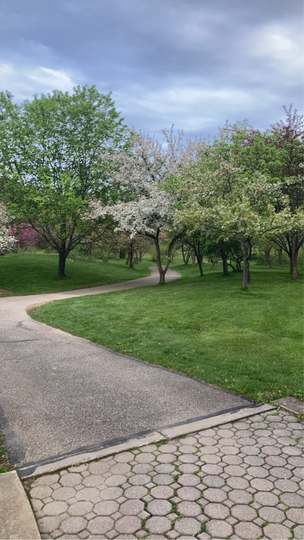 This is a photo taken in the F.A. Seiberling Nature Realm in May, 2023, located in Akron, Ohio.