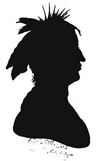 Silhouette of Little Turtle by Robert Wyer