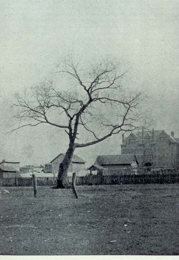 Building in Columbus, Ohio. "Harrison Elm and former Hawkes Hospital, Franklinton. The Kentucky troops under Governor Sh