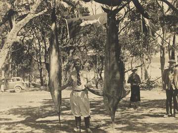 Zane Grey with Striped Marlin, Bermagui, New South Wales, Australia, T. C. Roughley, 14 February 1936, State Library of 