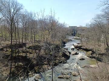 Berea Falls on the East Branch Rocky River, Berea's water source