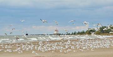 Lake Erie at Headlands Beach near Mentor, close to the Lake County West service area
