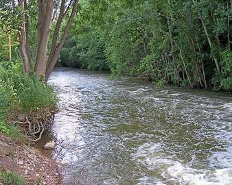 The Black Fork Mohican River, source of Shelby's Reservoirs 2 and 3, just downstream of Charles Mill Lake dam